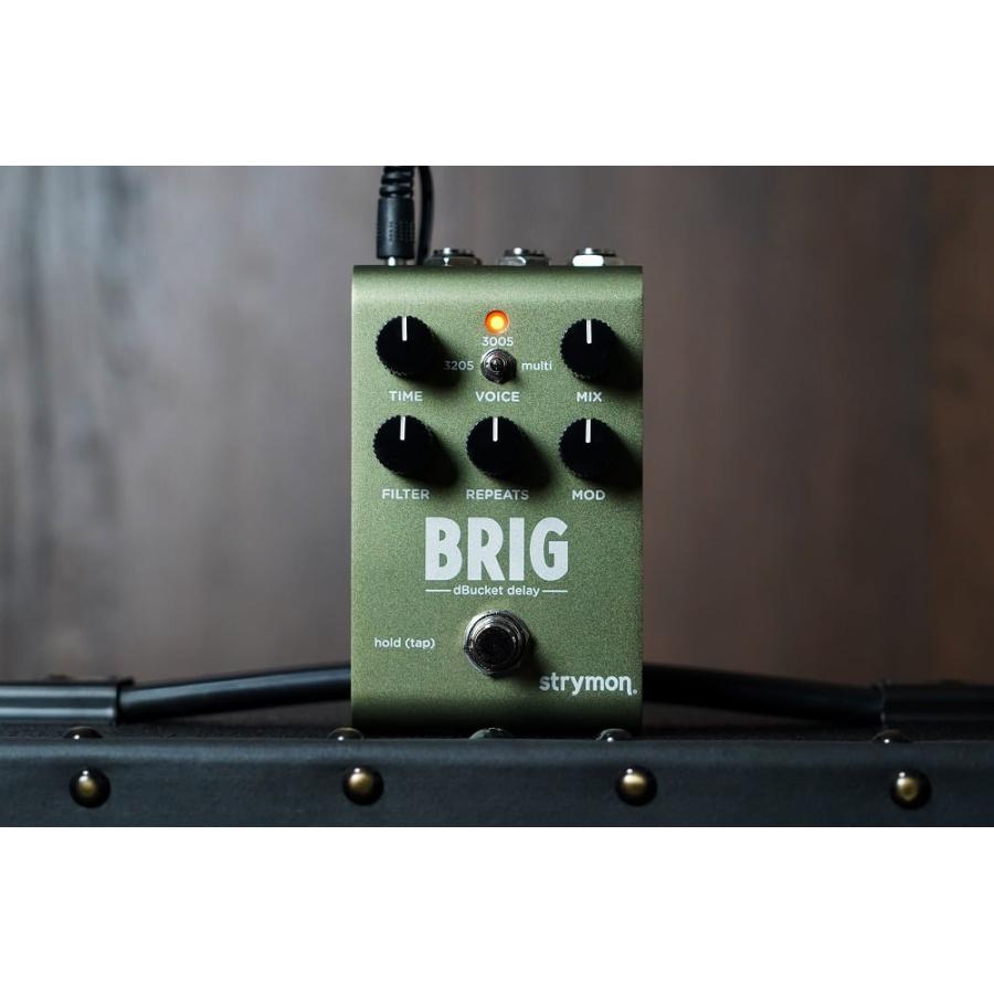 Strymon / BRIG ブリッグ ディレイ ストライモン : イシバシ楽器 17