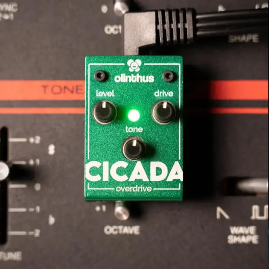 Olinthus オリンサス / CICADA オーバードライブ(国内正規品