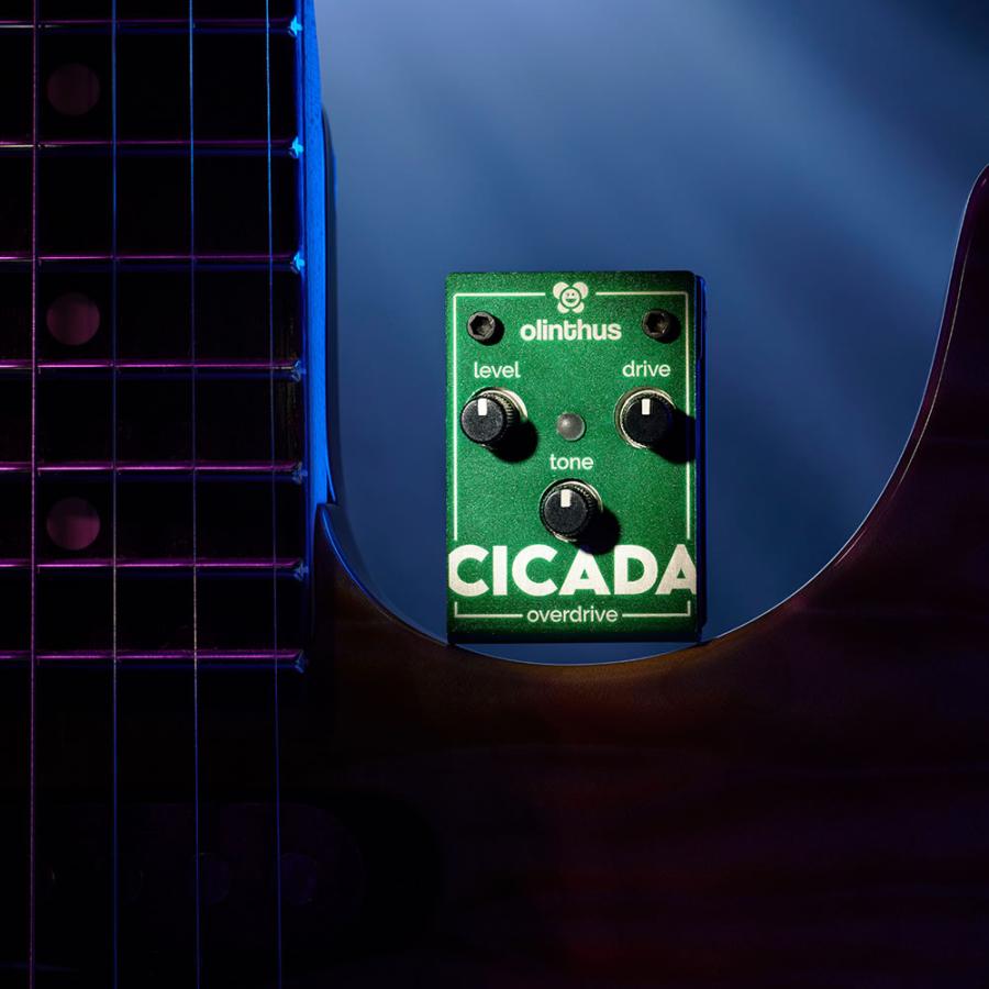 Olinthus オリンサス / CICADA オーバードライブ(国内正規品