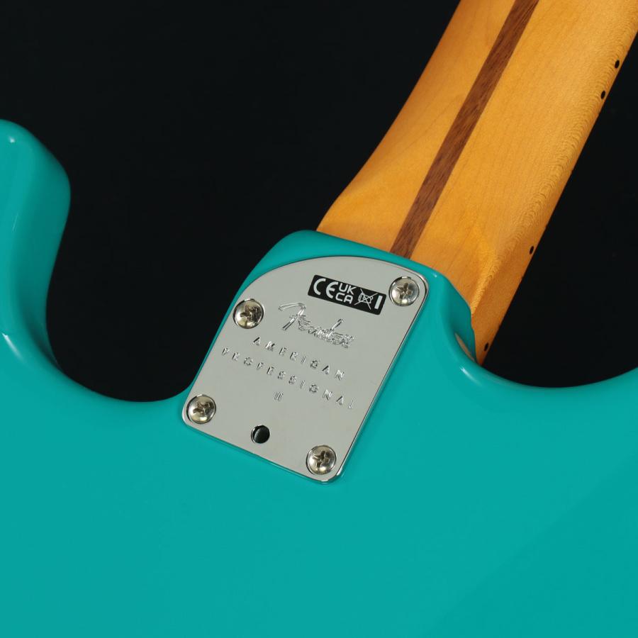 Fender / American Professional II Stratocaster Maple Fingerboard