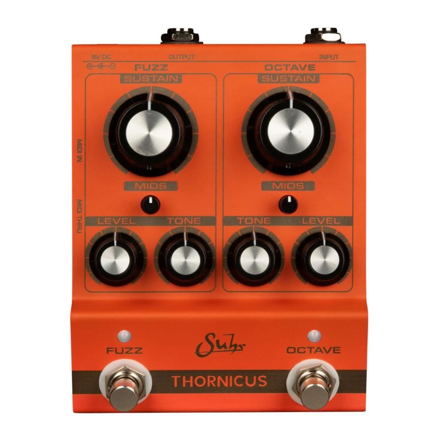 Suhr / Thornicus Fuzz Octave サー デュアルチャンネル・ファズ