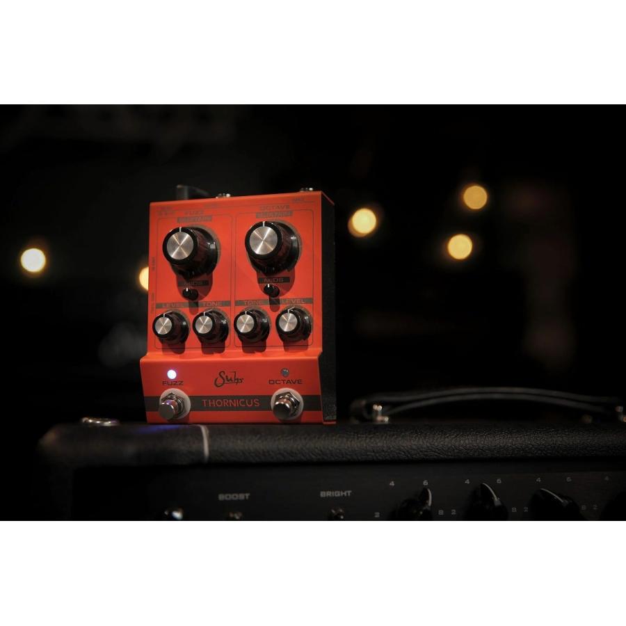 Suhr / Thornicus Fuzz Octave サー デュアルチャンネル・ファズ