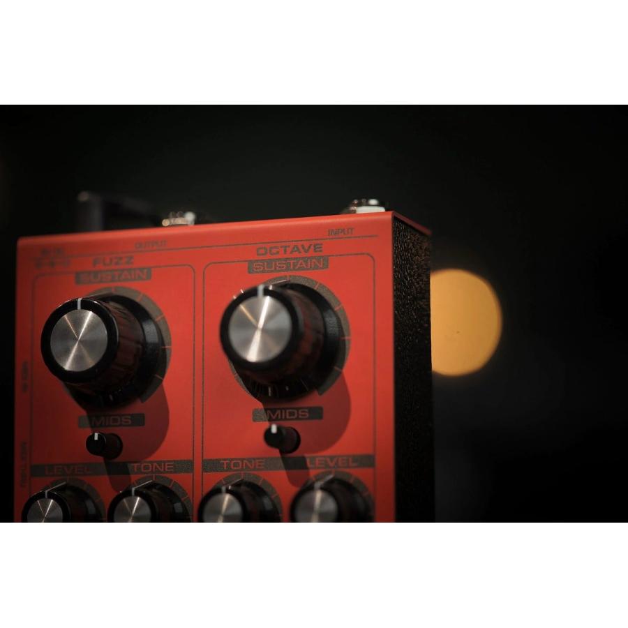 Suhr / Thornicus Fuzz Octave サー デュアルチャンネル・ファズ