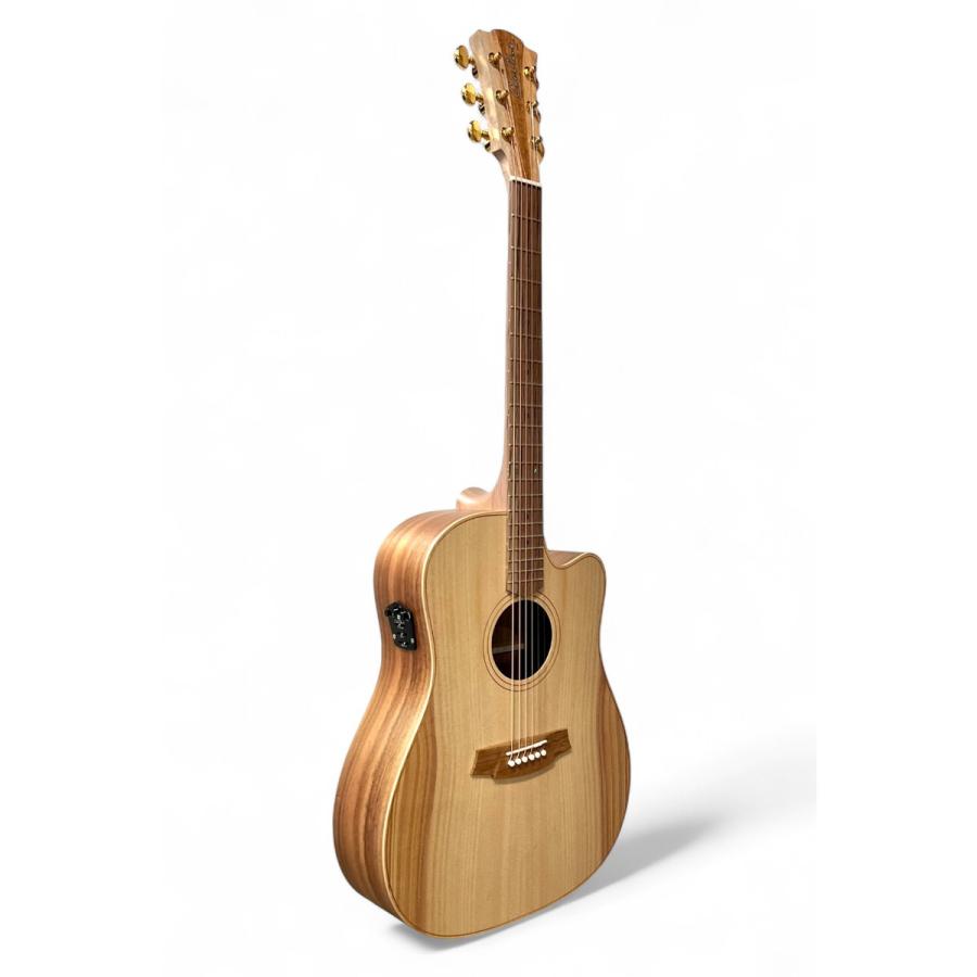 Cole Clark / FL Dreadnought Series CCFL2EC-BB 2 Grade Bunya