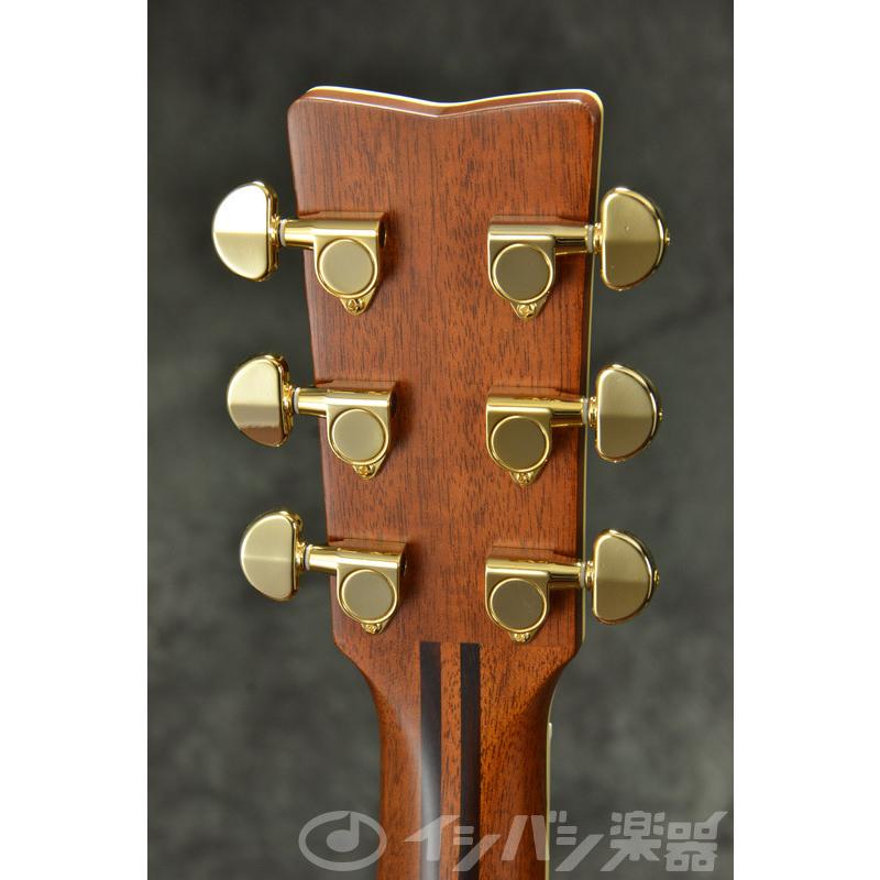 YAMAHA（ヤマハ） YAMAHA / LL6 ARE Brown Sunburst (BS) (ライト