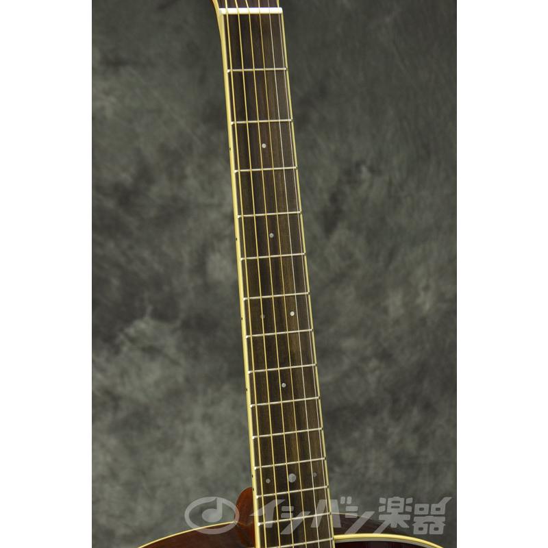 YAMAHA（ヤマハ） YAMAHA / LL6 ARE Brown Sunburst (BS) (ライト