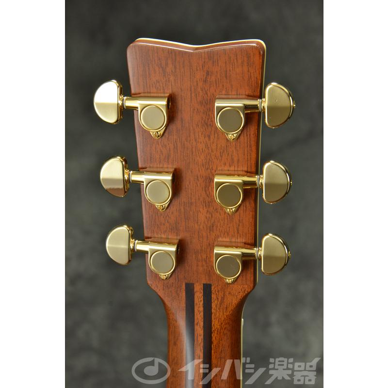 YAMAHA（ヤマハ） YAMAHA / LL6 ARE Brown Sunburst (BS) (ライト