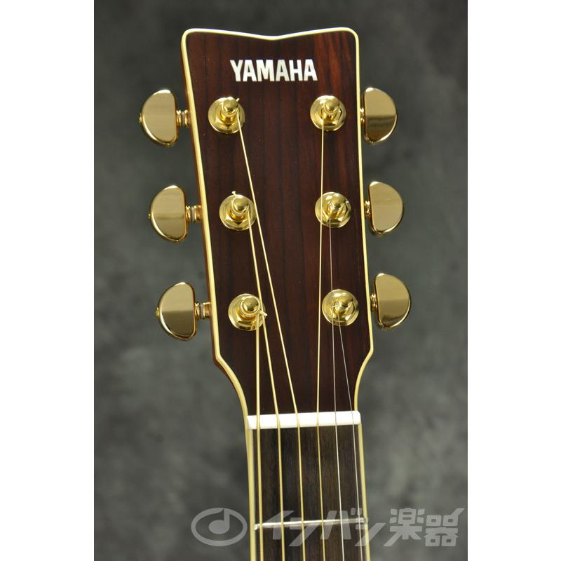 YAMAHA（ヤマハ） YAMAHA / LL6 ARE Brown Sunburst (BS) (ライト
