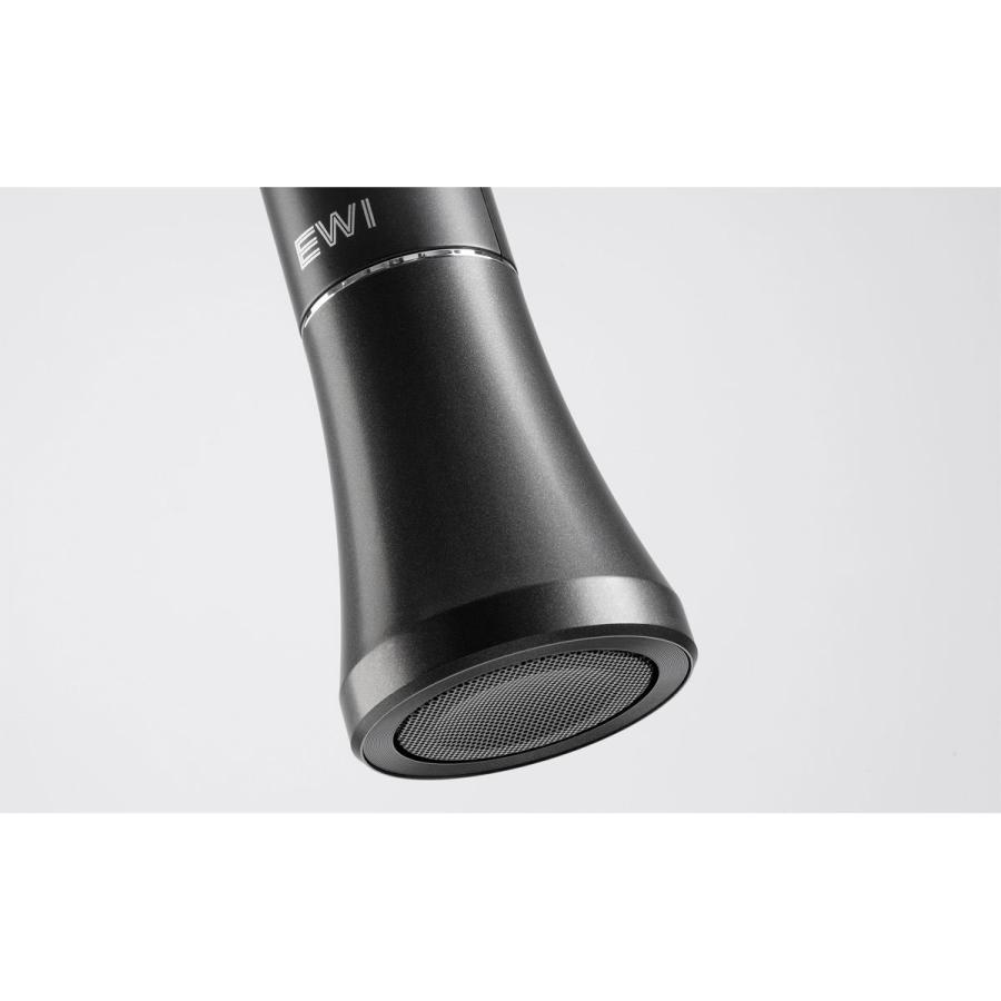 AKAI / EWI SOLO アカイ ウィンドシンセサイザー (正規品)(期間限定
