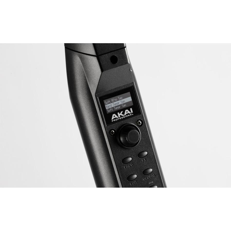 AKAI / EWI SOLO アカイ ウィンドシンセサイザー (正規品)(期間限定