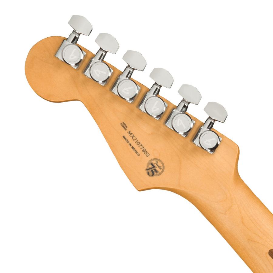 Fender / Player Plus Stratocaster HSS Maple Fingerboard Cosmic