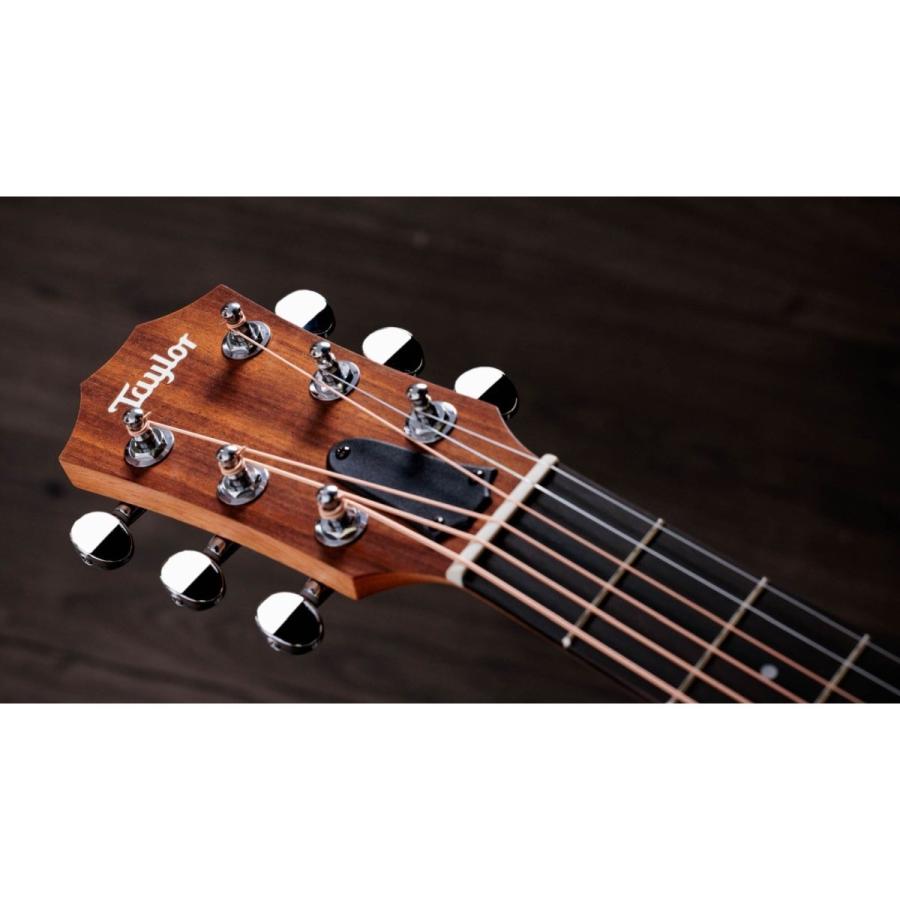 Taylor / GS Mini S [単板トリファイドスプルーストップ] [定番