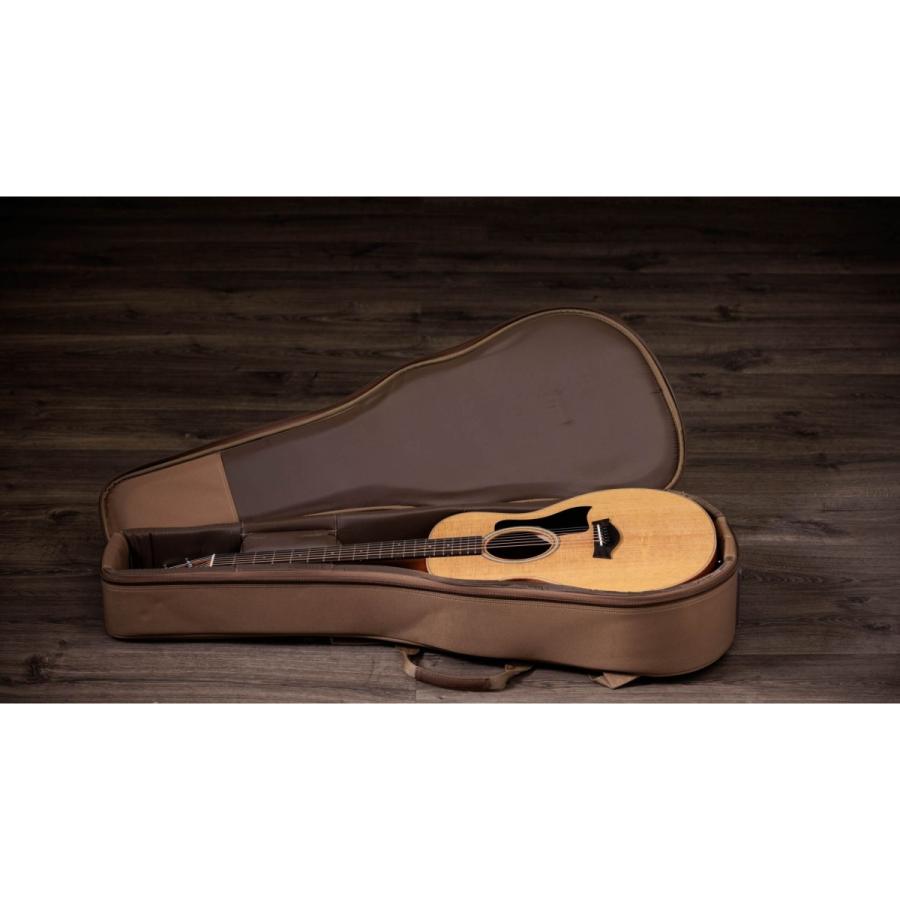 Taylor / GS Mini S [単板トリファイドスプルーストップ] [定番