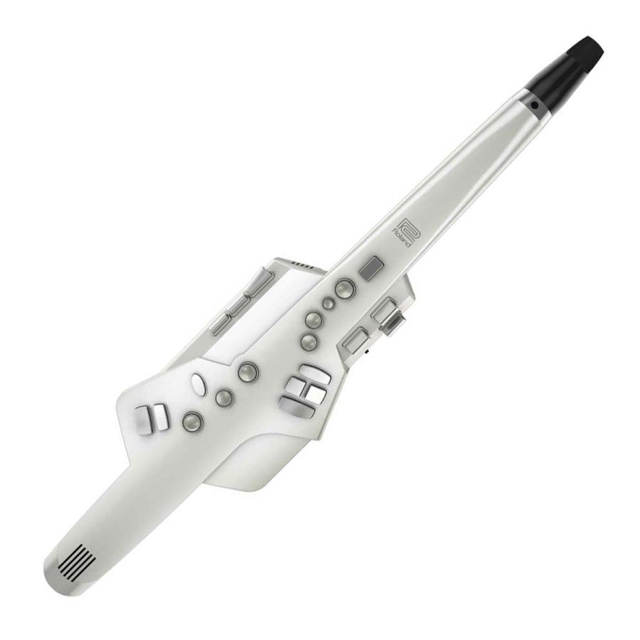 ローランド（Roland） Roland / Aerophone AE-10 エアロフォン
