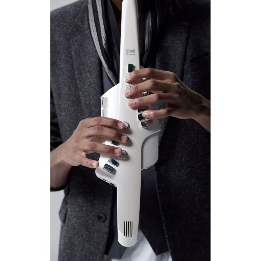 ローランド（Roland） Roland / Aerophone AE-10 エアロフォン