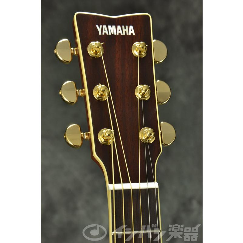 YAMAHA / LL6 ARE Dark Tint (DT) アコースティックギター (横浜店