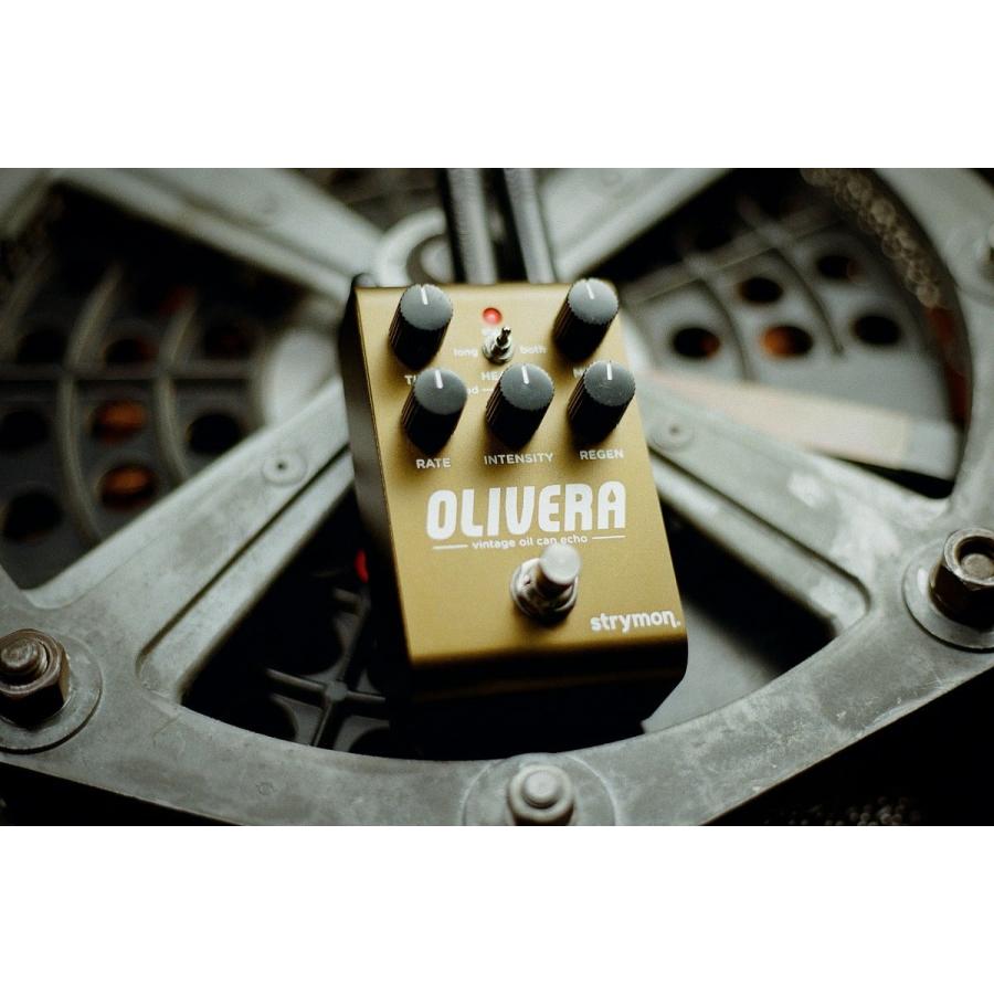Strymon / OLIVERA ビンテージ・オイル缶 エコー ストライモン(名古屋栄店)_9