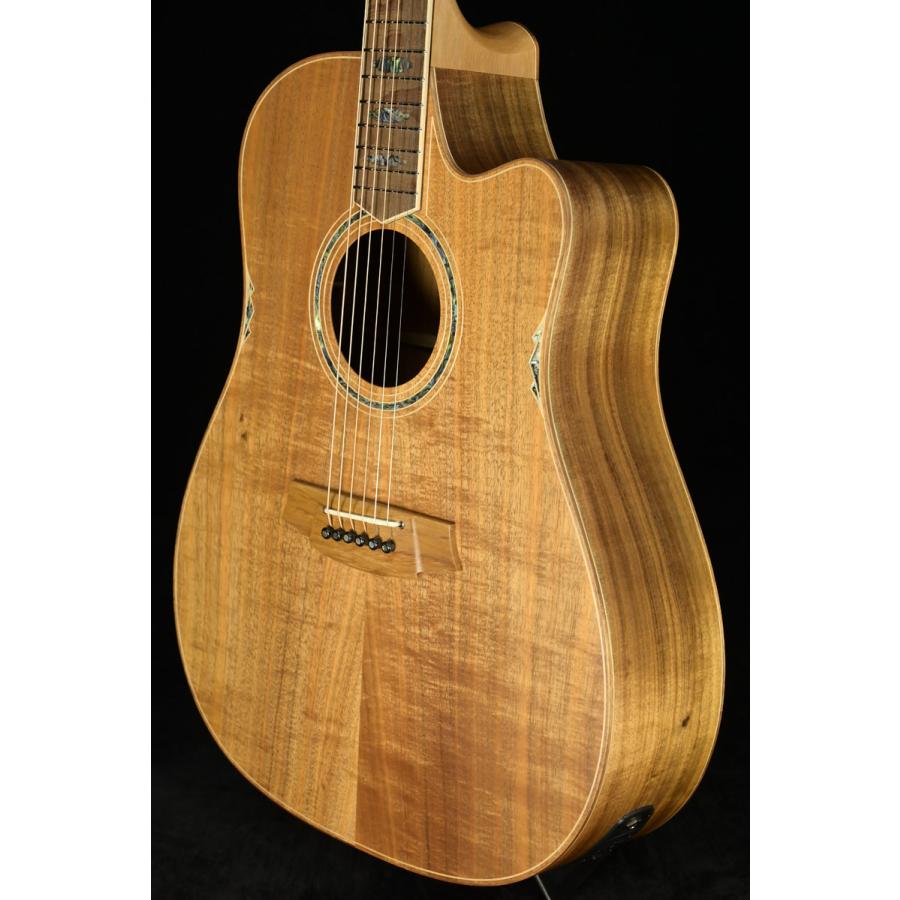 ギフ_包装 Cole Clark / FL Dreadnought CCFL3EC-BLBL-AE All Blackwood(S/N 230342513)(特典付き)(名古屋栄店)