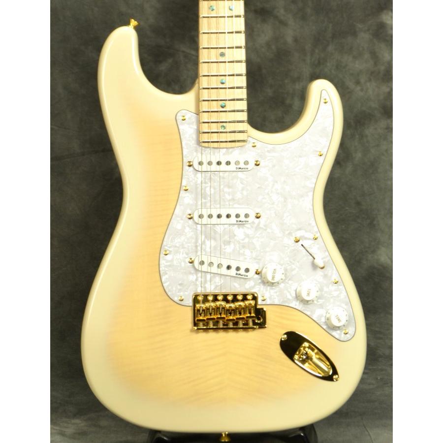 Fender / Japan Exclusive Richie Kotzen Stratocaster See-Through 