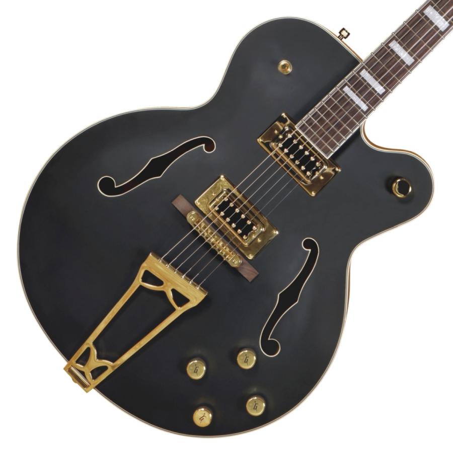 GRETSCH（グレッチ） Gretsch / G5191BK Tim Armstrong Signature