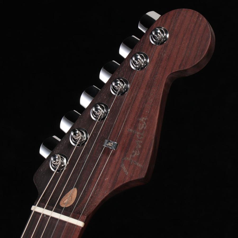 Fender / Limited Edition American Professional II Stratocaster HSS