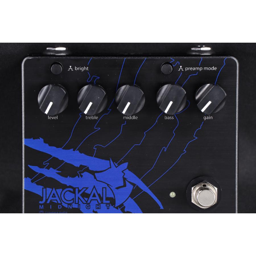 Limetone Audio / JACKAL MIDNIGHT ジャッカルミッドナイト ベーシスト