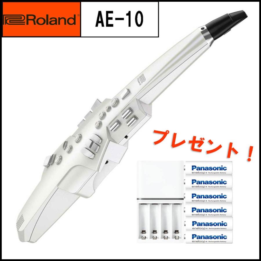 Roland ローランド / Aerophone AE エアロフォン充電池セット