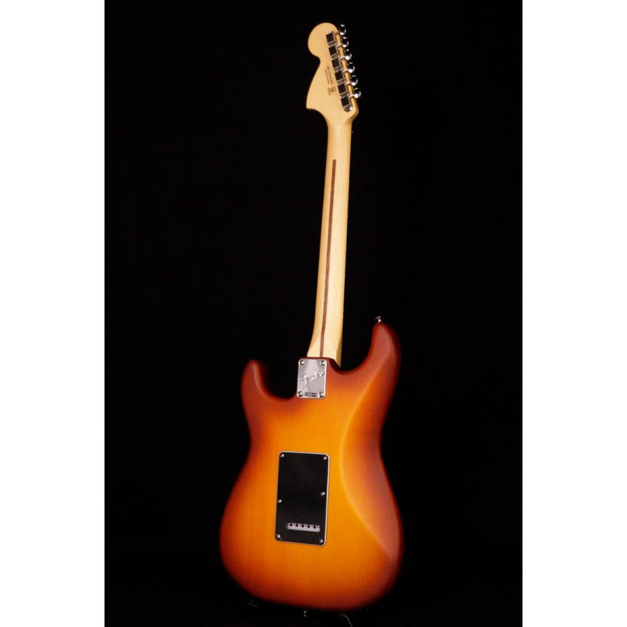 Fender / FSR American Performer  Spruce Stratocaster Rosewood Honey Burst ≪S/N:US240018068A≫ (アウトレット特価)(心斎橋店)の画像