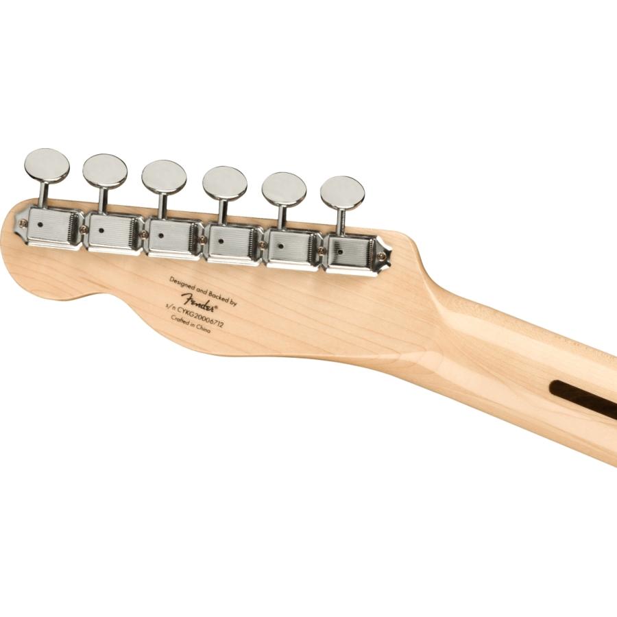 Squier / Paranormal Cabronita Telecaster Thinline Maple
