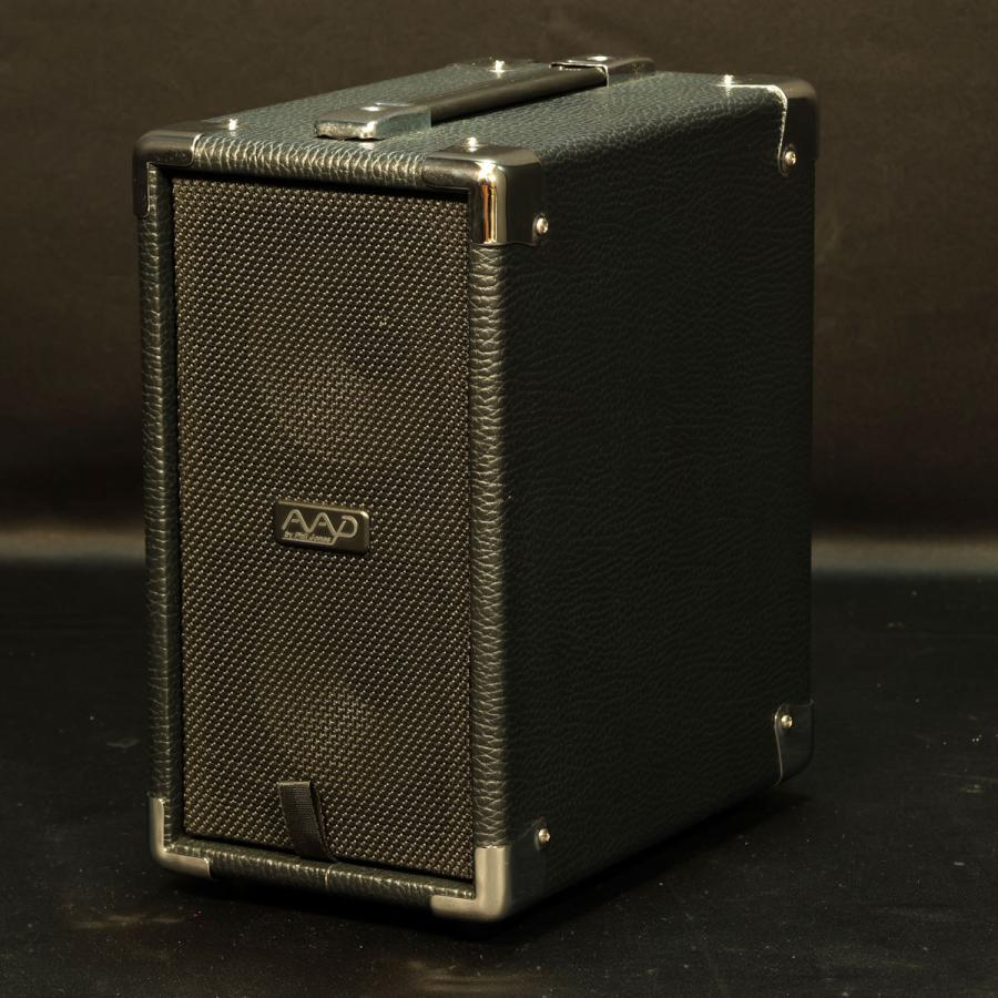 中古)AAD by Phil Jones / CUB AG-100 (福岡店) : イシバシ楽器 17