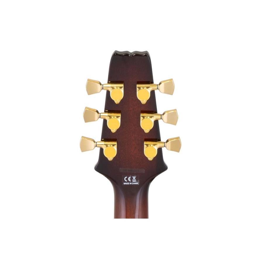 Aria Pro II / PE-F80 LTD (Limited) BKTP (Blacktop) アリアプロ II