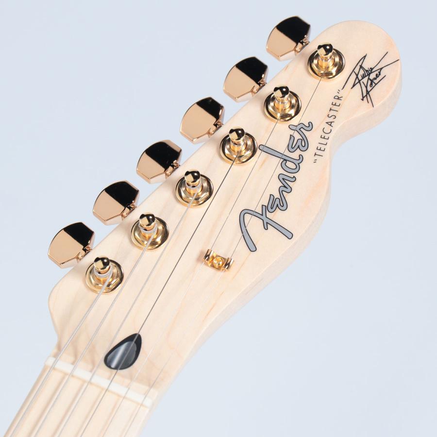 Fender / Japan Exclusive Richie Kotzen Telecaster Brown