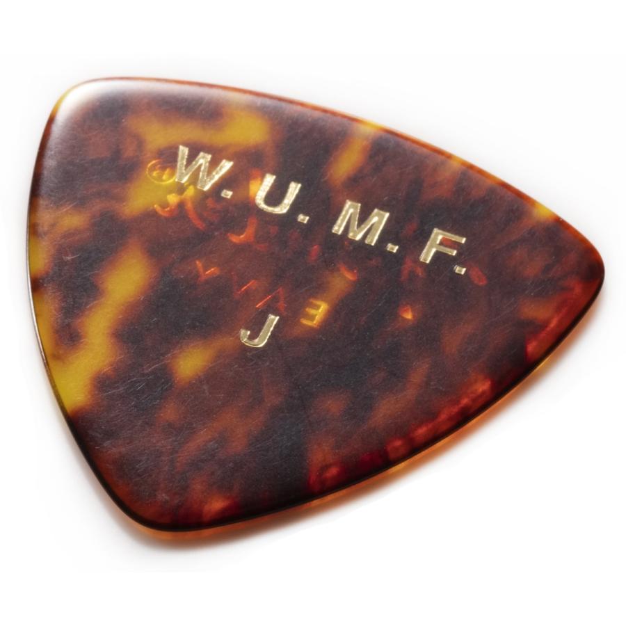 Fender（フェンダー） Artist Signature Pick J (6pcs/pack) ピック (6