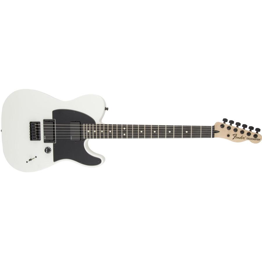 Fender / Jim Root Signature Telecaster Flat White Artist
