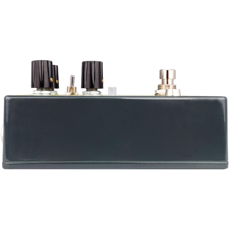 購入特典有り)Earth Quaker Devices / Ledges レッジズ ポストロック