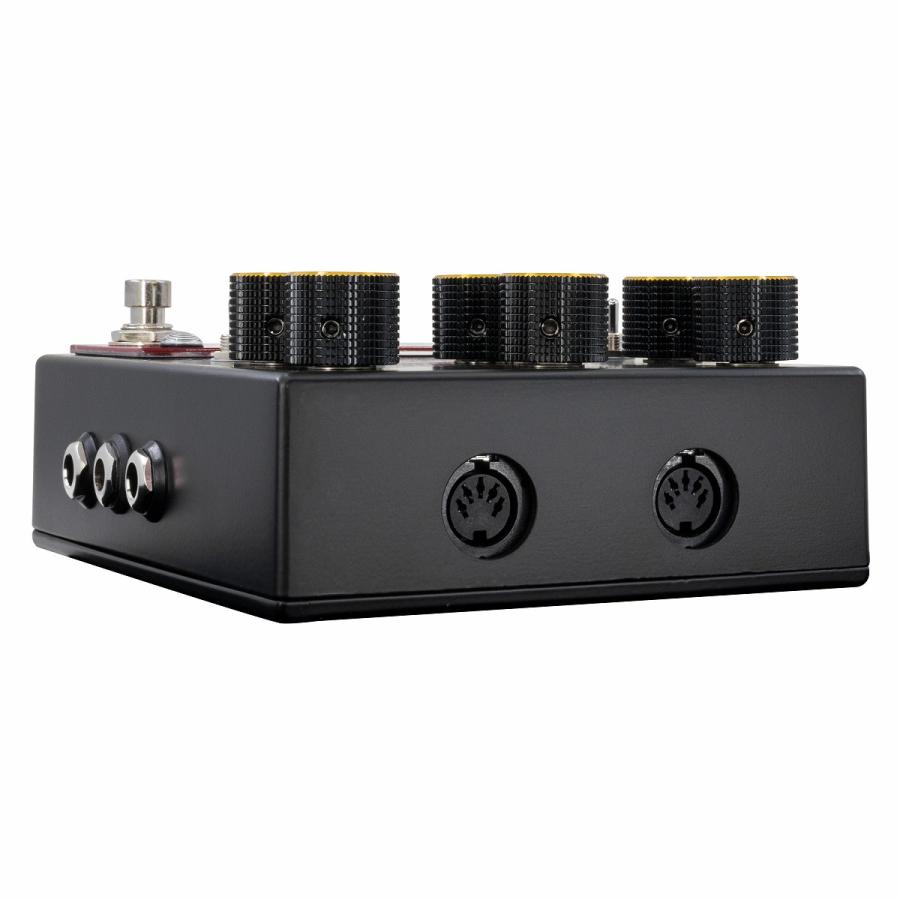 Walrus Audio / MERAKI Stereo Analog Dual Delay WAL-MERAKI ディレイ