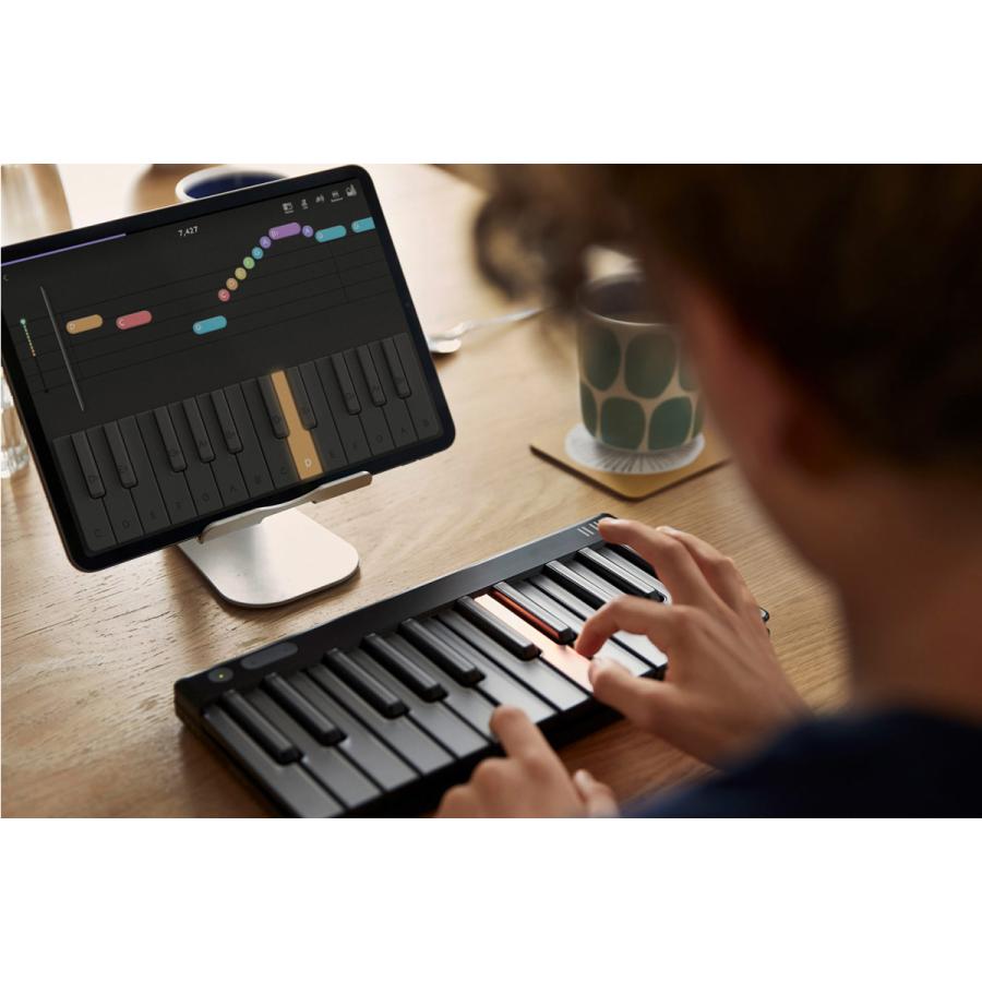 ROLI / Piano M MIDIキーボード(正規2年間保証) : イシバシ楽器 - 通販