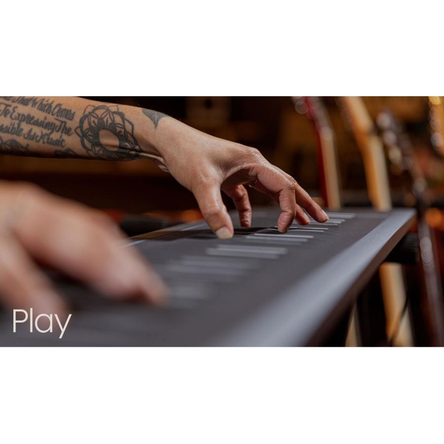 動作確認済 希少 Seaboard ロリシームレス鍵盤 ROLI Seaboard 2