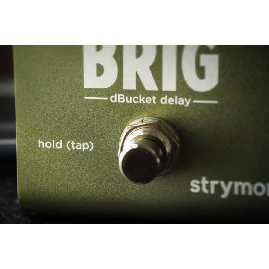 (購入特典有り)Strymon / BRIG dBucket Delay ディレイ オーガニックエコー ストライモン (国内正規品)(ACアダプタープレゼント)_10