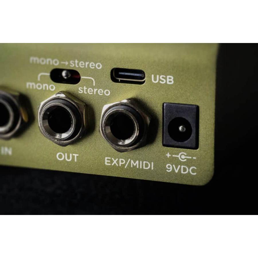 (購入特典有り)Strymon / BRIG dBucket Delay ディレイ オーガニックエコー ストライモン (国内正規品)(ACアダプタープレゼント)_11
