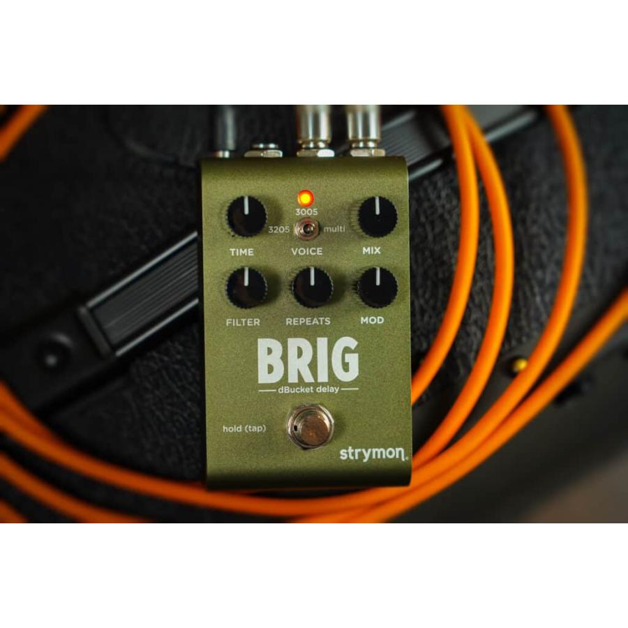 (購入特典有り)Strymon / BRIG dBucket Delay ディレイ オーガニックエコー ストライモン (国内正規品)(ACアダプタープレゼント)_12