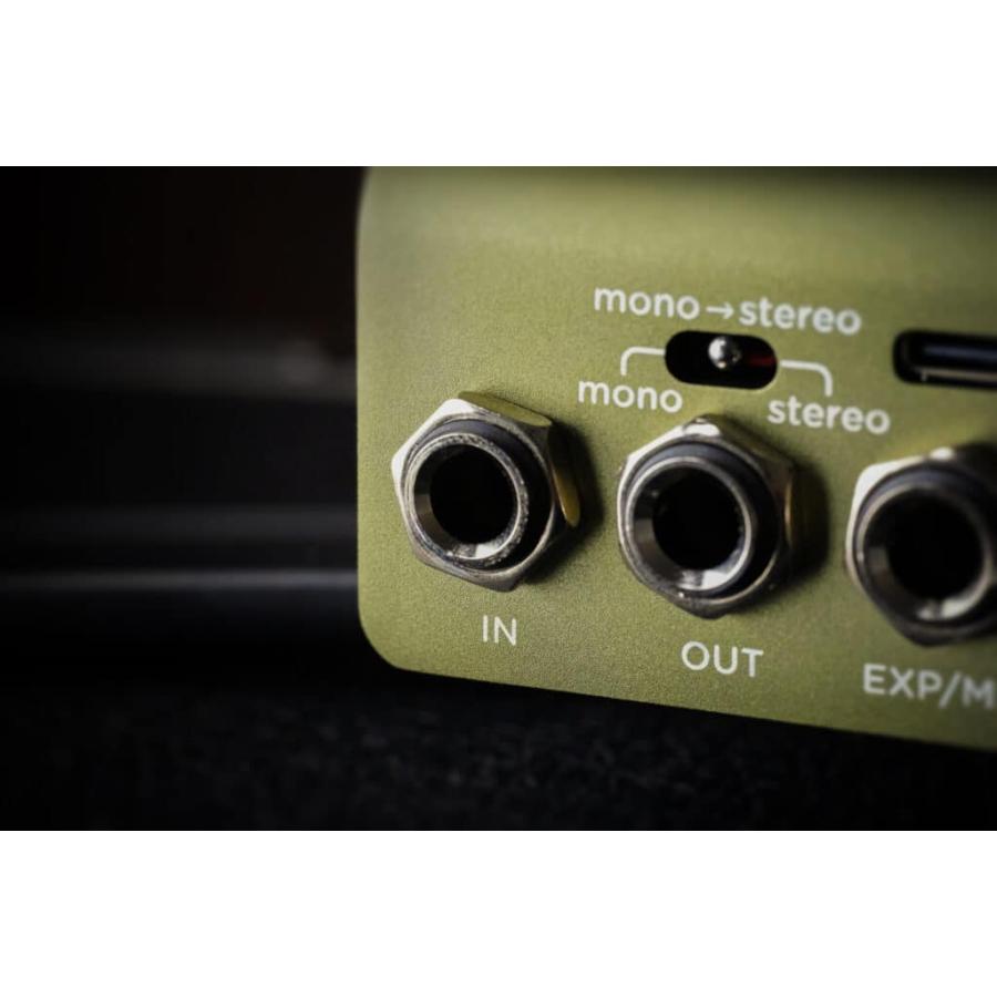 (購入特典有り)Strymon / BRIG dBucket Delay ディレイ オーガニックエコー ストライモン (国内正規品)(ACアダプタープレゼント)_13