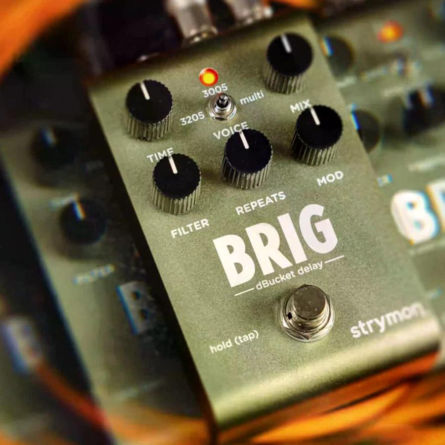 購入特典有り)Strymon / BRIG dBucket Delay ディレイ オーガニック