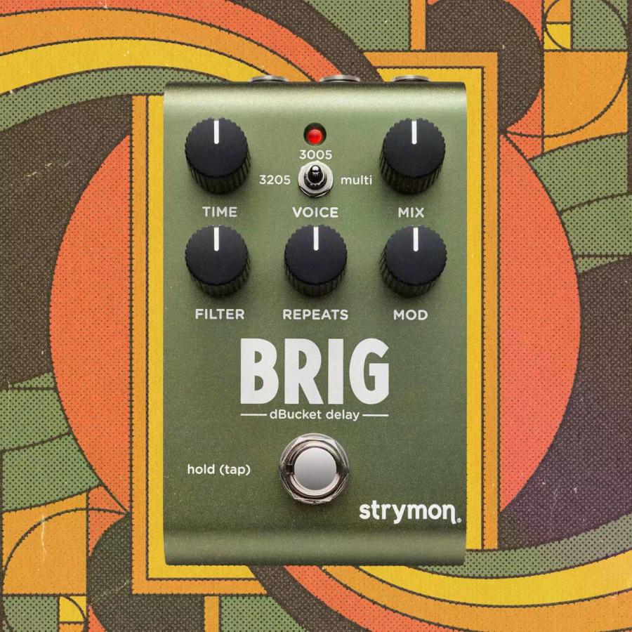 (購入特典有り)Strymon / BRIG dBucket Delay ディレイ オーガニックエコー ストライモン (国内正規品)(ACアダプタープレゼント)_3