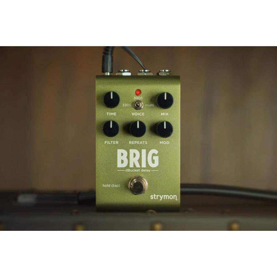 (購入特典有り)Strymon / BRIG dBucket Delay ディレイ オーガニックエコー ストライモン (国内正規品)(ACアダプタープレゼント)_6