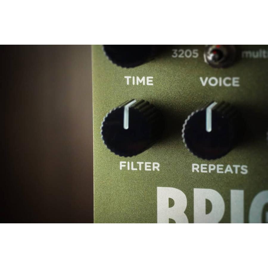 (購入特典有り)Strymon / BRIG dBucket Delay ディレイ オーガニックエコー ストライモン (国内正規品)(ACアダプタープレゼント)_9