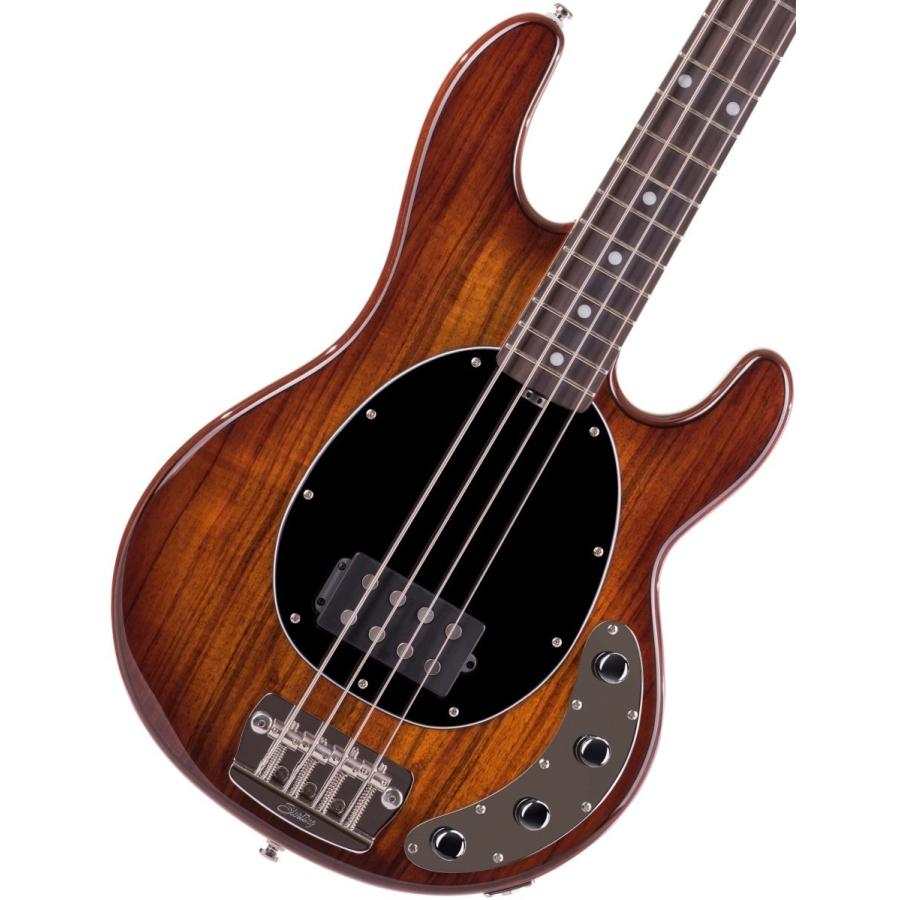 Sterling by MUSICMAN / Ray34-KOA Shaded Koa スターリン 