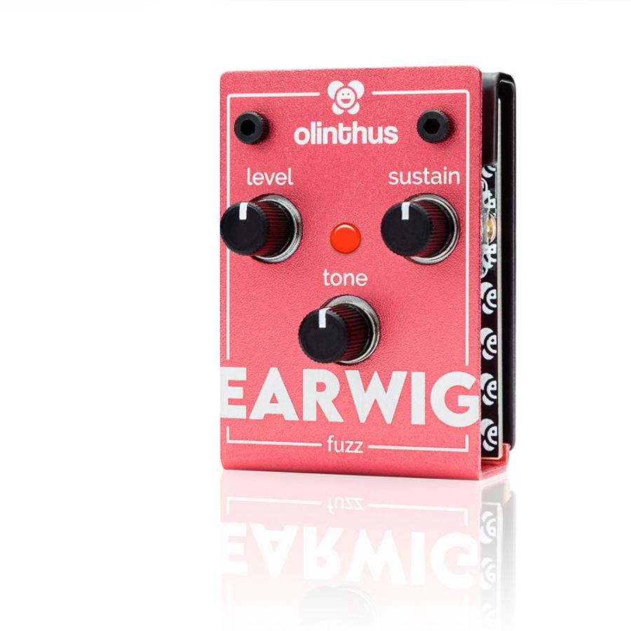 olinthus EARWIG ビッグマフ　ファズ 1969年製 Big Muff Piに着想/どこでも持ち歩ける新しいエフェクター