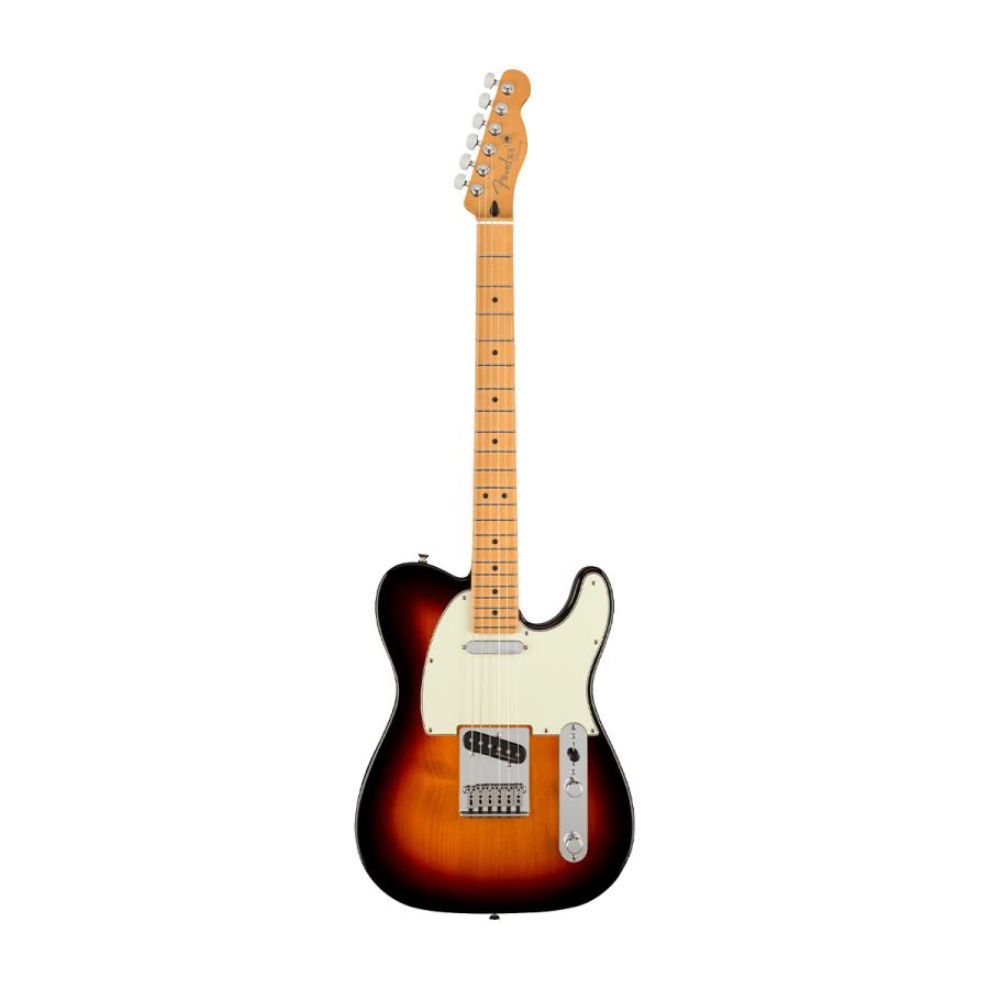 Fender（フェンダー） (WEBSHOPクリアランスセール)Fender / Player
