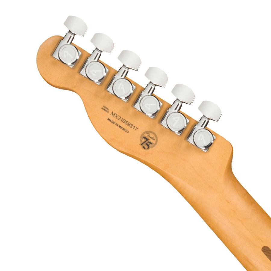 Fender（フェンダー） (WEBSHOPクリアランスセール)Fender / Player